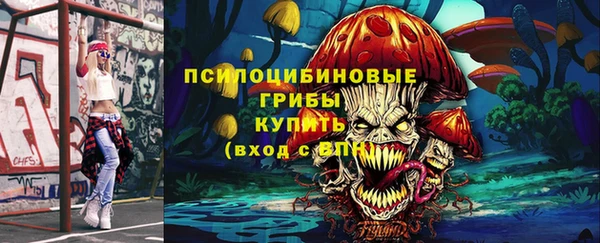 соль ск Армянск