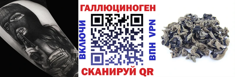 Псилоцибиновые грибы Psilocybine cubensis  Обь 